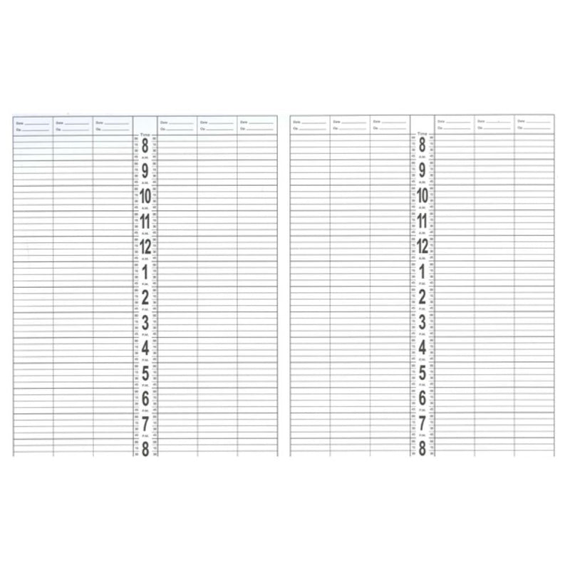 DL Professional Large Appointment Book- 12 Column