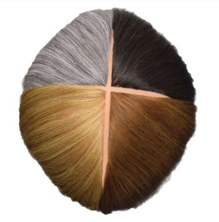 CelebrityTammieColorTrainingManikintop