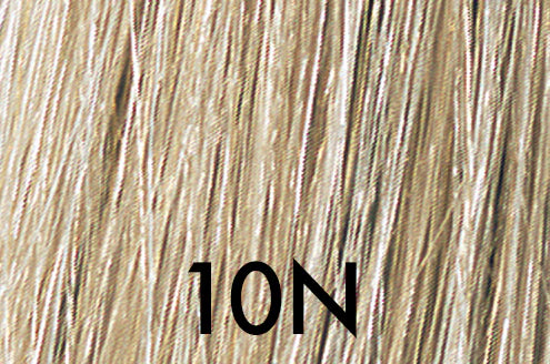 10N