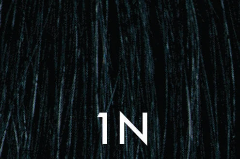 1N