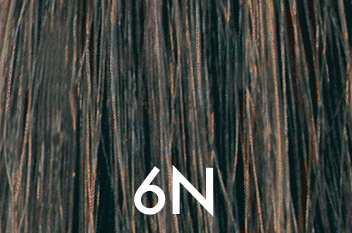 6N