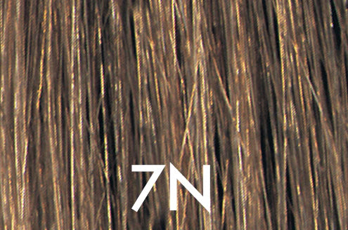 7N