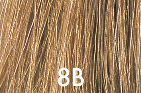 8B