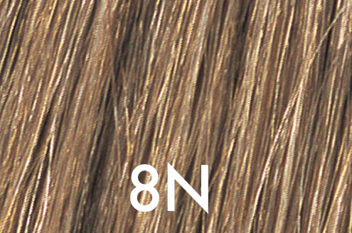 8N