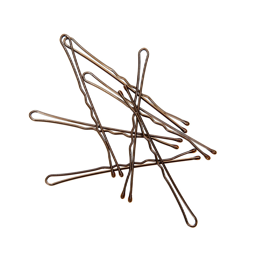 Marilyn Brush Bobby Pins 