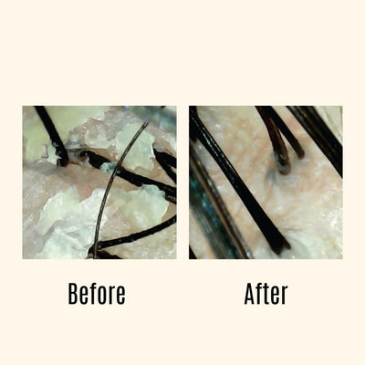 Malibu C Head Lab Intro Kit