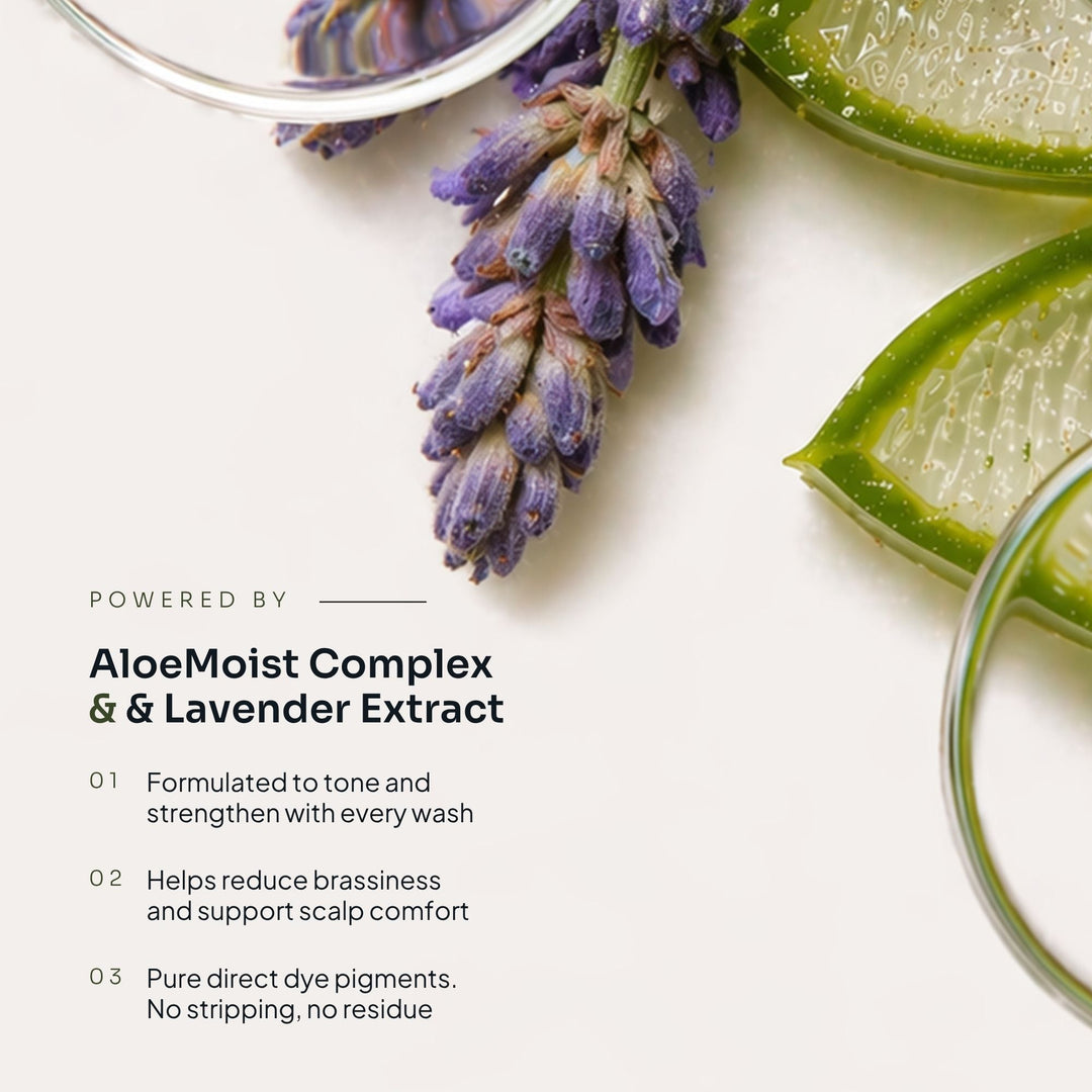 Violet Shampoo
