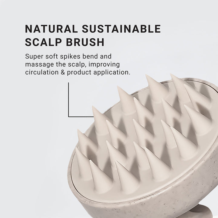 Natural sustainable scalp brush