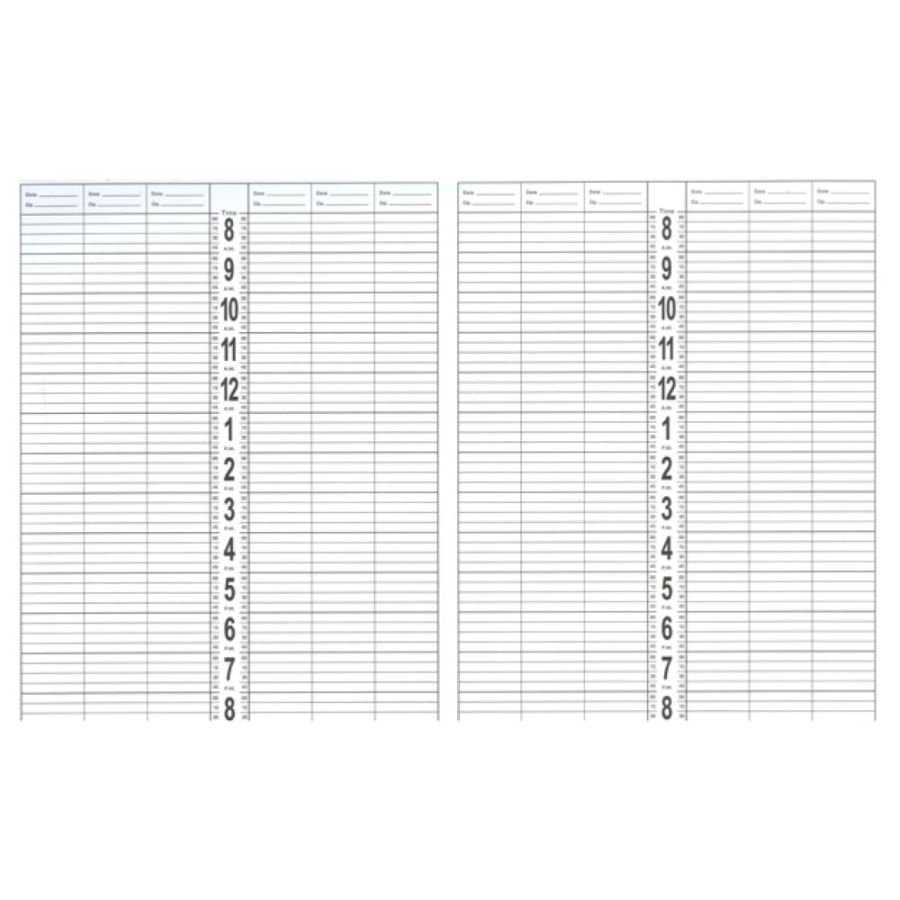 DL Professional Large Appointment Book - 12 Column