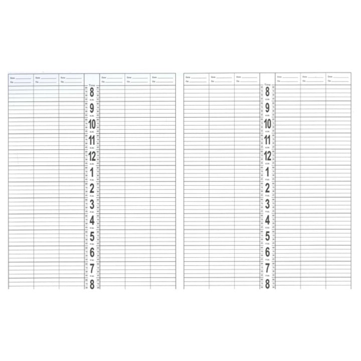 DL Professional Large Appointment Book - 12 Column