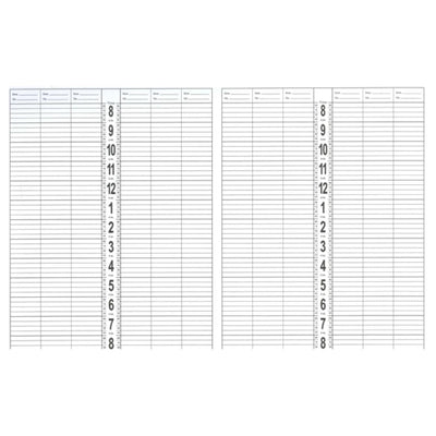 DL Professional Large Appointment Book - 12 Column