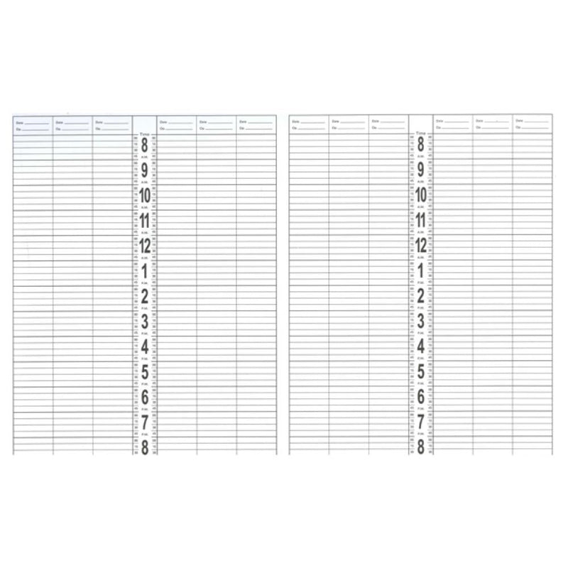DL Professional Large Appointment Book - 12 Column