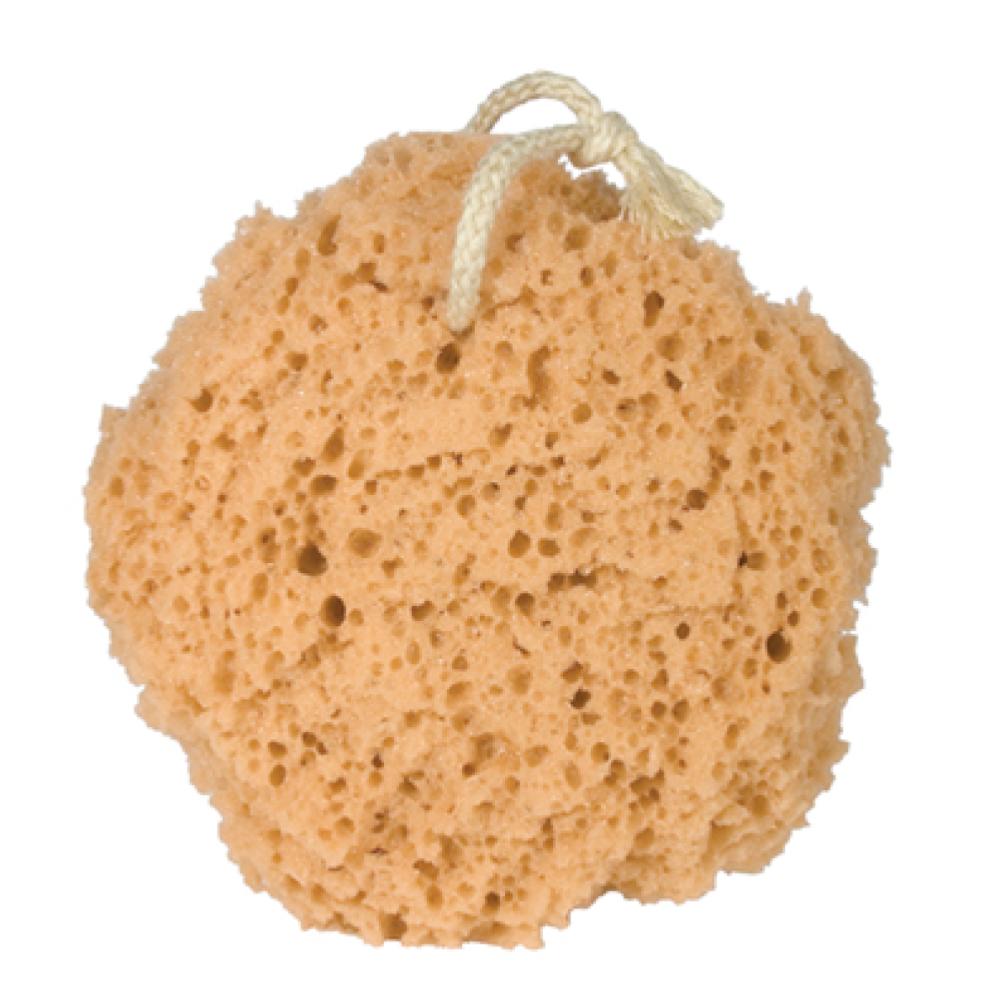Kingsley Bath and Shower Sponge