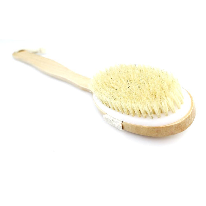 Kingsley Bath and Shower Brush with Removable Brush Handle