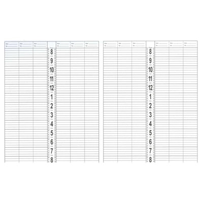 DL Professional Large Appointment Book- 12 Column